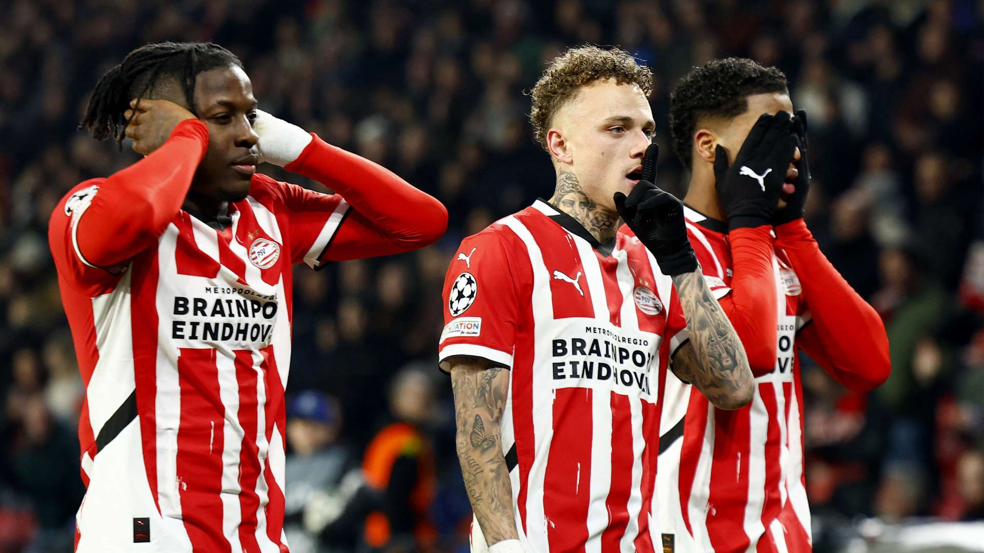 赢得了荣誉 赢得了荣誉