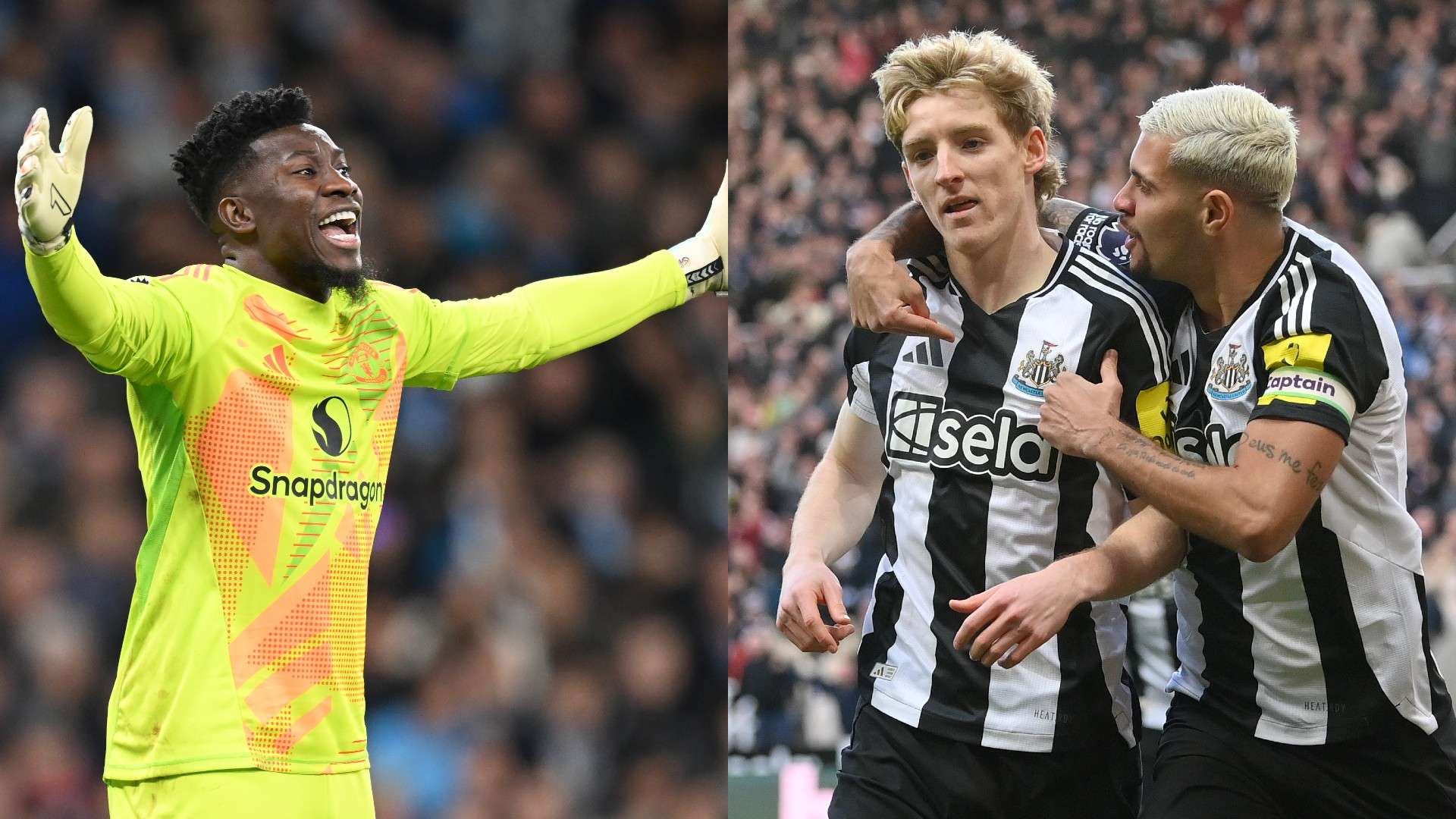 在短短的 在短短的