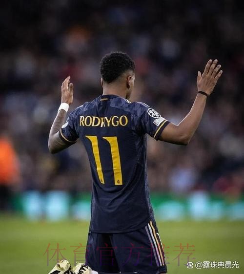 又伤了!罗马诺:罗德里戈肌肉拉伤 将缺战至12月初 又伤了!罗马诺:罗德里戈肌肉拉伤 将缺战至12月初